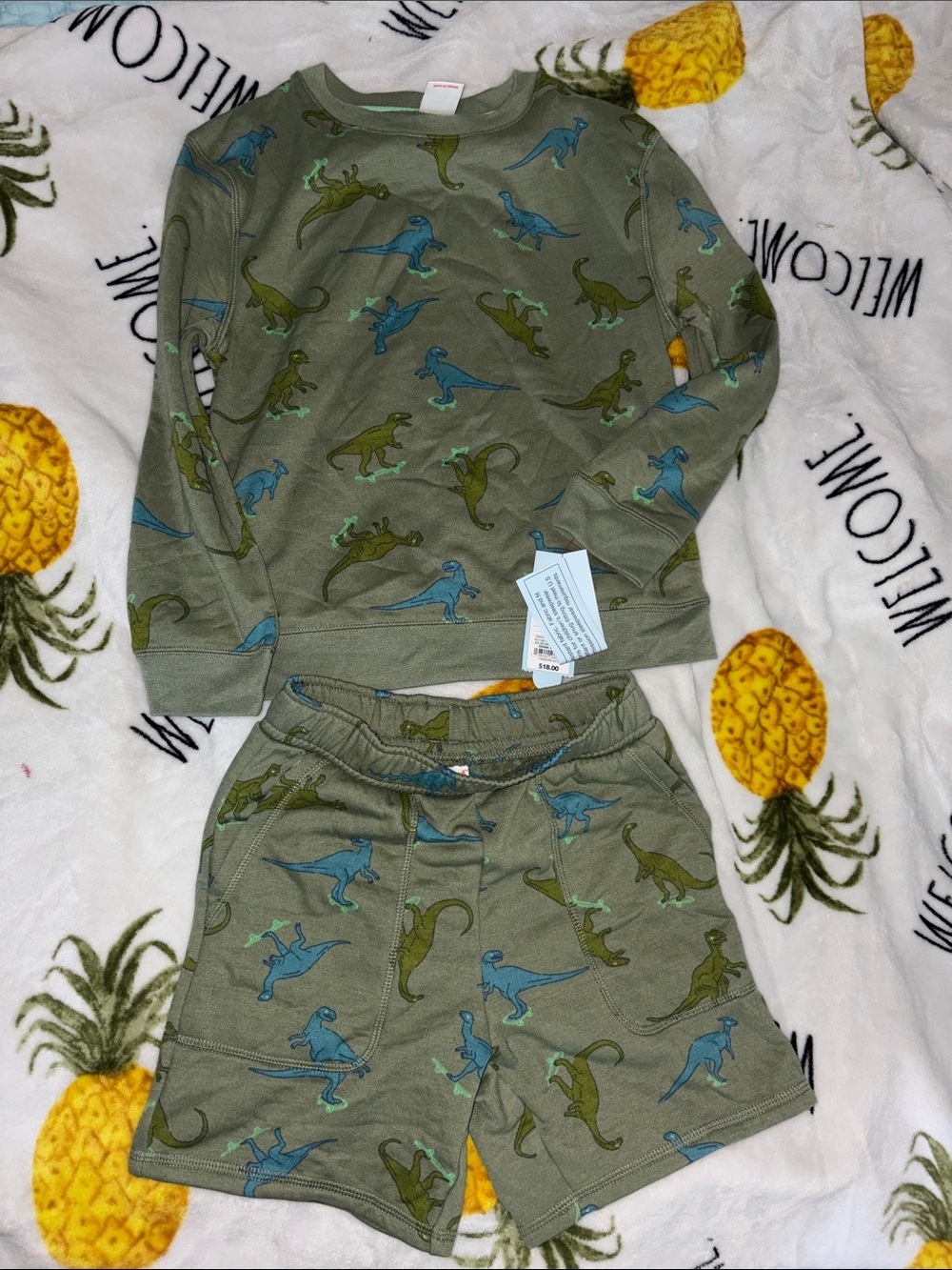 Dinosaur 2 set outfit size small 6/7 boys